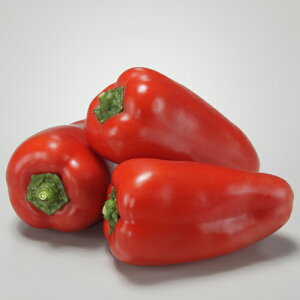 pvۃlI bh 30 s[} pvJ J[s[} ya_   ^lzyʏ5{ 5̂̓|Cg10