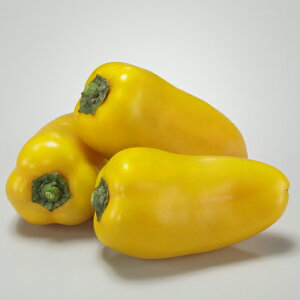 pvۃlI CG[ 100 s[} pvJ J[s[} ya_   ^lzyʏ5{ 5̂̓|Cg10