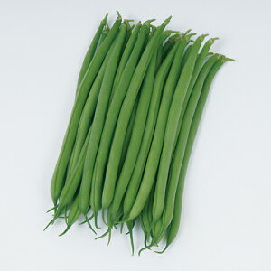 LZlI tBR[g2000 B CQ} 񂰂܂ c yc   ^l zyʏ5{ 5̂̓|Cg10{ΏۊOi|Cg3{Œ菤iz