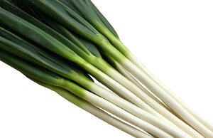 ݂̂(UE-507) 1dL K lM ˂ lA ylA   ^l zyʏ5{ 5̂̓|Cg10{z