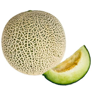 NZg 100 ߂  ylA   ^l zyʏ5{ 5̂̓|Cg10{z