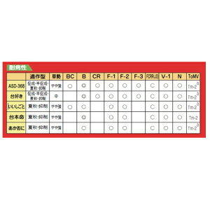  1000 g}g g}g_CM Ƃ܂ƂyAOA   ^l zyʏ5{ 5̂̓|Cg10{ΏۊOi|Cg3{Œ菤iz