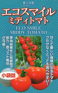 �G�R�X�}�C���P�׌��ʒ��ʃg�}�g�iASO-855�j 1000�� �g�}�g �Ƃ܂� �׉� ���O��c �y���O��c �� ���� �^�l �z�y�ʏ�5�{ 5�̂����̓|�C���g10�{�ΏۊO���i�|�C���g3�{�Œ菤�i�z