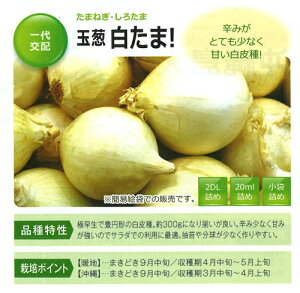 ! 20ml ʂ˂ ܂˂ ʔK ^}lMyt^o   ^lzyʏ5{ 5̂̓|Cg10{ΏۊOi|Cg3{Œ菤iz
