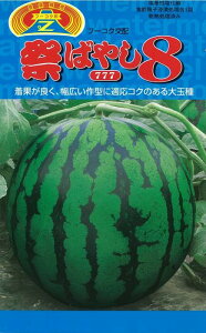 Ղ΂₵8 ʃXCJ 200 XCJ  Zy_   ^lzyʏ5{ 5̂̓|Cg10{ΏۊOi|Cg3{Œ菤iz