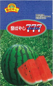 Ղ΂₵777 ʃXCJ 200 XCJ  Zy_   ^lzyʏ5{ 5̂̓|Cg10{ΏۊOi|Cg3{Œ菤iz