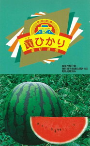 MЂ ʃXCJ 200 XCJ  Zy_   ^lzyʏ5{ 5̂̓|Cg10{ΏۊOi|Cg3{Œ菤iz
