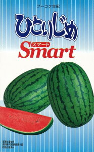 ЂƂ肶߃X}[g ʃXCJ 200 XCJ  Zy_   ^lzyʏ5{ 5̂̓|Cg10{ΏۊOi|Cg3{Œ菤iz