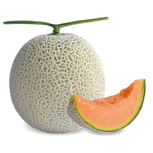 A[XFbT tHn  100 ߂  rZy_   ^lzyʏ5{ 5̂̓|Cg10{ΏۊOi|Cg3{Œ菤iz