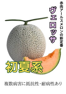 A[XFbT Čn  100 ߂  rZy_   ^lzyʏ5{ 5̂̓|Cg10{ΏۊOi|Cg3{Œ菤iz