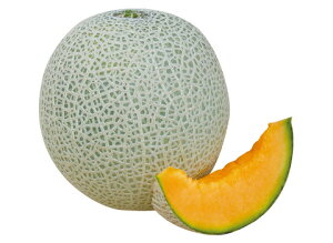 nptFX^  100 ߂  rZy_   ^lzyʏ5{ 5̂̓|Cg10{ΏۊOi|Cg3{Œ菤iz