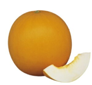 npCG[LO  100 ߂  rZy_   ^lzyʏ5{ 5̂̓|Cg10{ΏۊOi|Cg3{Œ菤iz