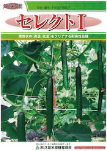 ZNg1 350 ӉZ LE イyvČ琬   ^lzyʏ5{ 5̂̓|Cg10{z