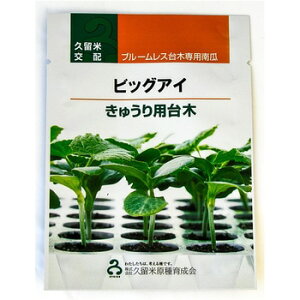 rbOAC 100  _CM yvČ琬   ^lzyʏ5{ 5̂̓|Cg10{z