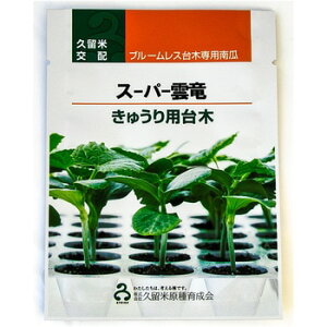 newX[p[_ 100  _CM yvČ琬   ^lzyʏ5{ 5̂̓|Cg10{z