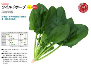 Chz[v L3 @@ zE\E ق񂻂yJlR   ^lzyʏ5{ 5̂̓|Cg10{z