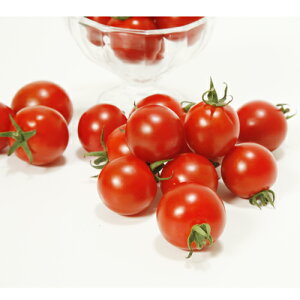 ݂킽 1000 g}g Ƃ܂ ׉ցyB݂   ^lzyʏ5{ 5̂̓|Cg10{z