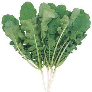 N(t卪) 1L 卪 _CR  zyc   ^l zyʏ5{ 5̂̓|Cg10{z