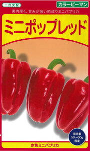 ~j|bvbh 100 J[s[} ҁ[܂ zyc   ^l zyʏ5{ 5̂̓|Cg10{z
