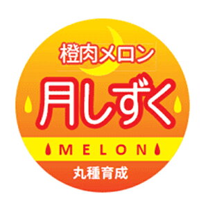 CG[ 500 ߂  rZyێ   ^lzyʏ5{ 5̂̓|Cg10{ΏۊOi|Cg3{Œ菤iz