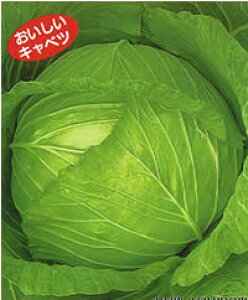 H݂ǂ L_lFC 2500 Lxc mEz y{_ю   ^l zyʏ5{ 5̂̓|Cg10{z