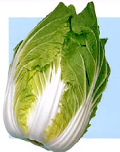 v80 L_lFC 3500  nNTC ͂ mEz y{_ю   ^l zyʏ5{ 5̂̓|Cg10{z