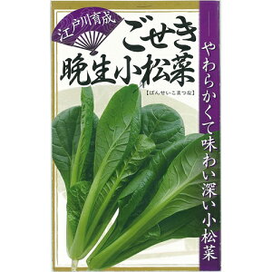 ]ː琬 Ӑ L_l 1dl  R}ci ܂ȁy{_ю   ^l zyʏ5{ 5̂̓|Cg10{z