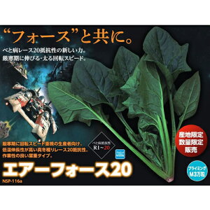 GA[tH[X20 vC}bNXM3 ق񂻂 @@ yig   ^lzyʏ5{ 5̂̓|Cg10{z