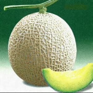 A[Xh Čn 100 ߂  rZyV[h   ^l zyʏ5{ 5̂̓|Cg10{z