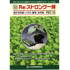 Re:XgOP 350  yV[h   ^l zyʏ5{ 5̂̓|Cg10{z