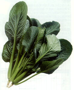 S 2dl  R}ci ܂ Rzz yRzc   ^l zyʏ5{ 5̂̓|Cg10{z