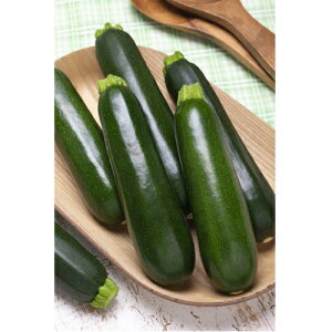 _Ci[EX 100 YbL[j y^LC   ^lzyʏ5{ 5̂̓|Cg10{z