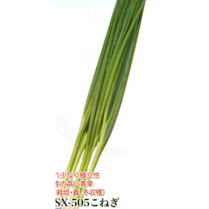 TSX-505˂ 1L K lM ˂ _Cz ygL^   ^lzyʏ5{ 5̂̓|Cg10{z