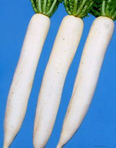 ϕat݂̑ 2dl 卪 _CR ygL^   ^lzyʏ5{ 5̂̓|Cg10{z