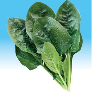 ӒtHXg18 M3 @@ zE\E ق񂻂 _Cz ygL^   ^lzyʏ5{ 5̂̓|Cg10{z