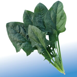 T}[WI M3 @@ zE\E ق񂻂 _Cz ygL^   ^lzyʏ5{ 5̂̓|Cg10{z