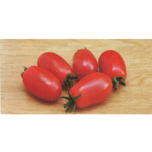 �T���O���[�v �s�R 1000�� �~�j�g�}�g �g�}�g �Ƃ܂� �׉ցy�g�L�^ �� ���� �^�l�z�y�ʏ�5�{ 5�̂����̓|�C���g10�{�z