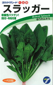 XbK[1L @ق @@ zE\E ق񂻂y^J}V[h   ^l zyʏ5{ 5̂̓|Cg10{z