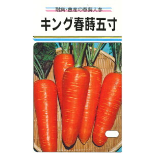 LOtܐ 1L jW ɂ񂶂 lQynӔ_   ^l zyʏ5{ 5̂̓|Cg10{ΏۊOi|Cg3{Œ菤iz