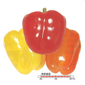 J[s[} IW 500 s[} ҁ[܂ z@ynӔ_   ^l zyʏ5{ 5̂̓|Cg10{ΏۊOi|Cg3{Œ菤iz