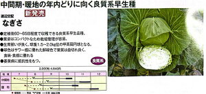 Ȃ 2000 Lxc nӌz ynӔ_   ^l zyʏ5{ 5̂̓|Cg10{ΏۊOi|Cg3{Œ菤iz