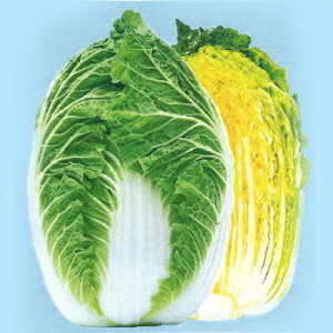 ՓTlI70CR 20ml  nNTC ͂ynӍ̎   ^l zyʏ5{ 5̂̓|Cg10{z