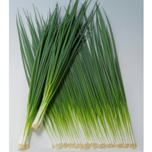 O[C 1L K lM ˂ Gz y]_|   ^lzyʏ5{ 5̂̓|Cg10{ΏۊOi|Cg3{Œ菤iz