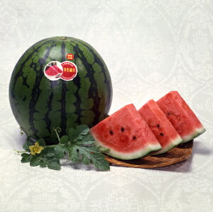 ȉ 200 XCJ  Zya_   ^lzyʏ5{ 5̂̓|Cg10{z