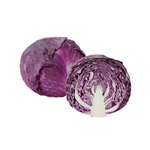  10ml Lxcya_   ^lzyʏ5{ 5̂̓|Cg10{z