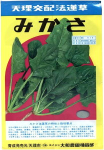 ݂ 1L @@ zE\Eya_   ^lzyʏ5{ 5̂̓|Cg10{z