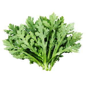 ₳ƒtVe 1L te 񂬂 VMNya_   ^lzyʏ5{ 5̂̓|Cg10{z