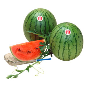 Ԃ 200 XCJ  Zya_   ^lzyʏ5{ 5̂̓|Cg10{z