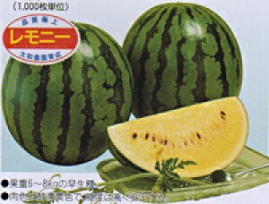 aj[ 100 XCJ  Zya_   ^lzyʏ5{ 5̂̓|Cg10{z