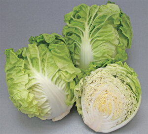 ܂邲ƃT_ 10ml  nNTC ͂ ya_   ^l zyʏ5{ 5̂̓|Cg10{z